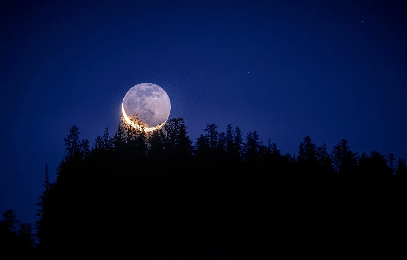 Photo wallpaper forest, the sky, trees, landscape, night, the moon, horizon, moon