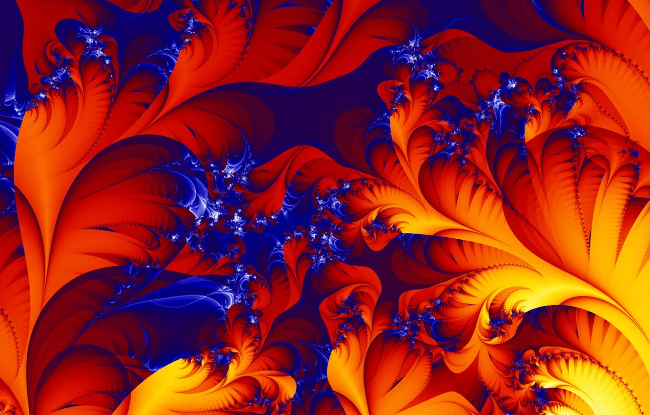 Photo wallpaper line, fractal, vortices, Mandelbrot