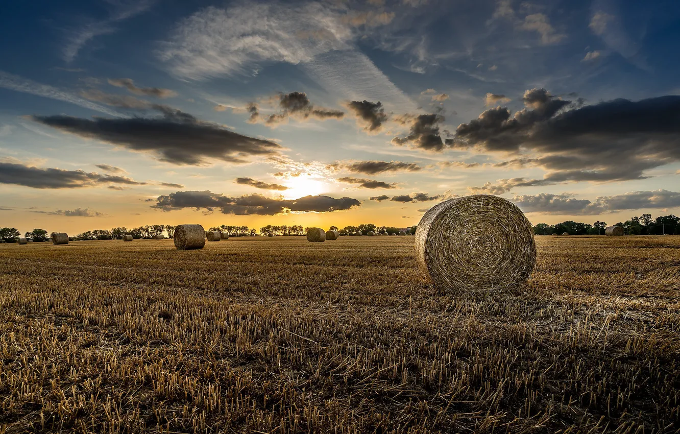 Photo wallpaper field, summer, hay