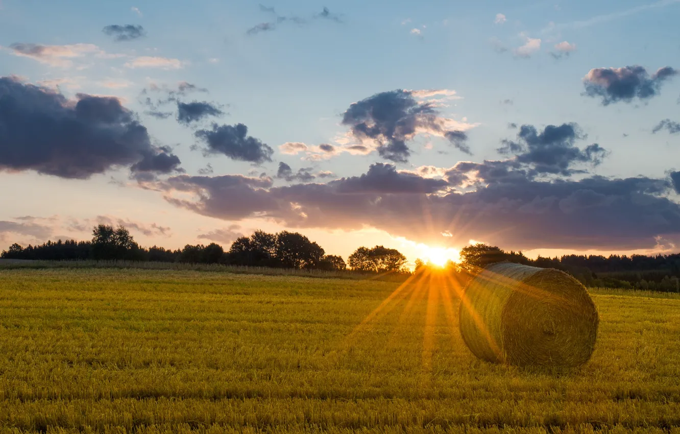 Photo wallpaper field, autumn, the sun, sunset, hay, bales, Kip