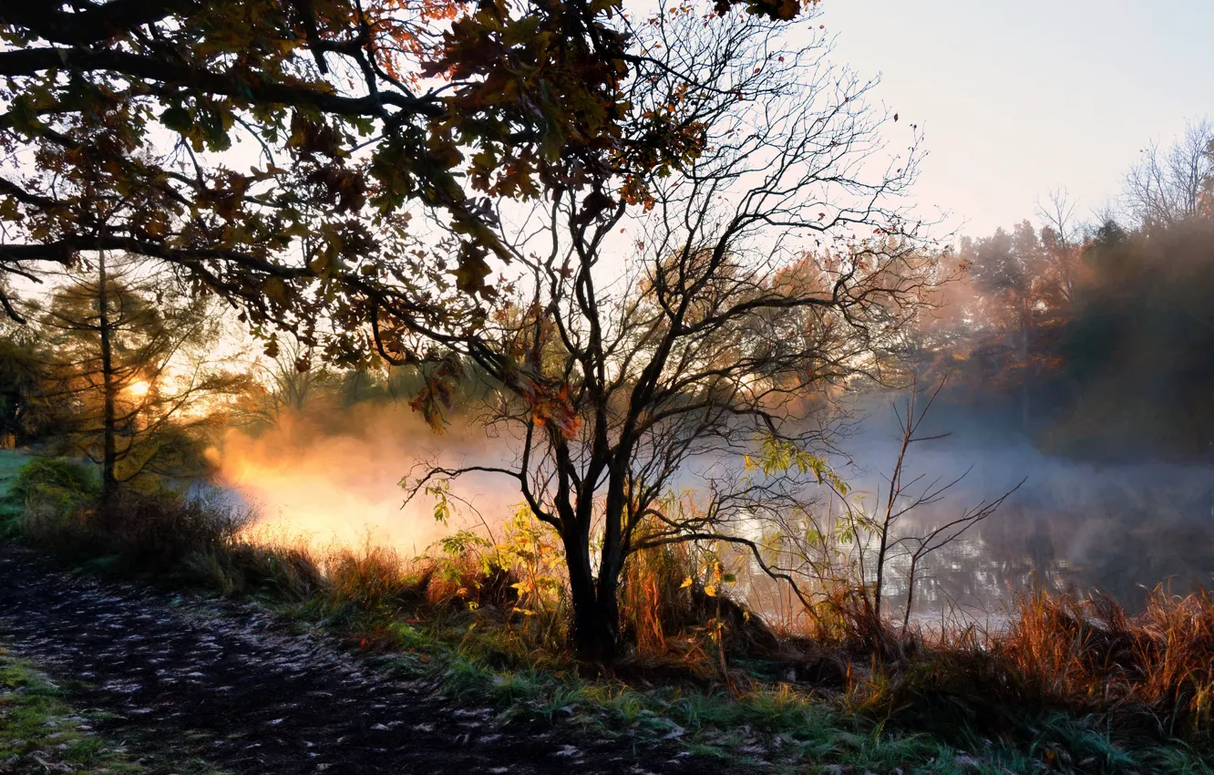 Photo wallpaper autumn, fog, river, morning