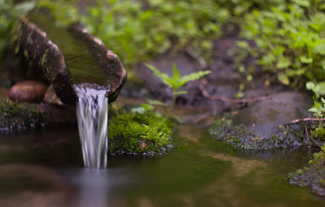 Photo wallpaper stream, waterfall, moss, Water, water