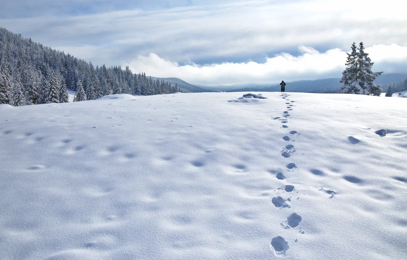 Photo wallpaper winter, field, forest, the sky, clouds, light, snow, traces