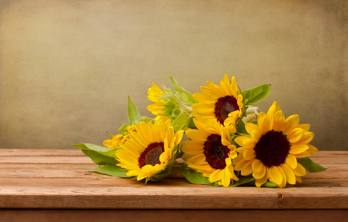 Photo wallpaper sunflowers, flowers, foliage