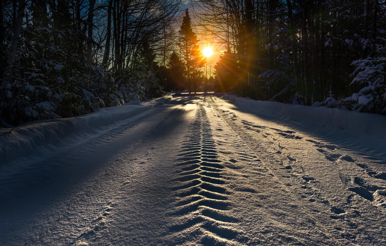 Photo wallpaper winter, road, snow, morning
