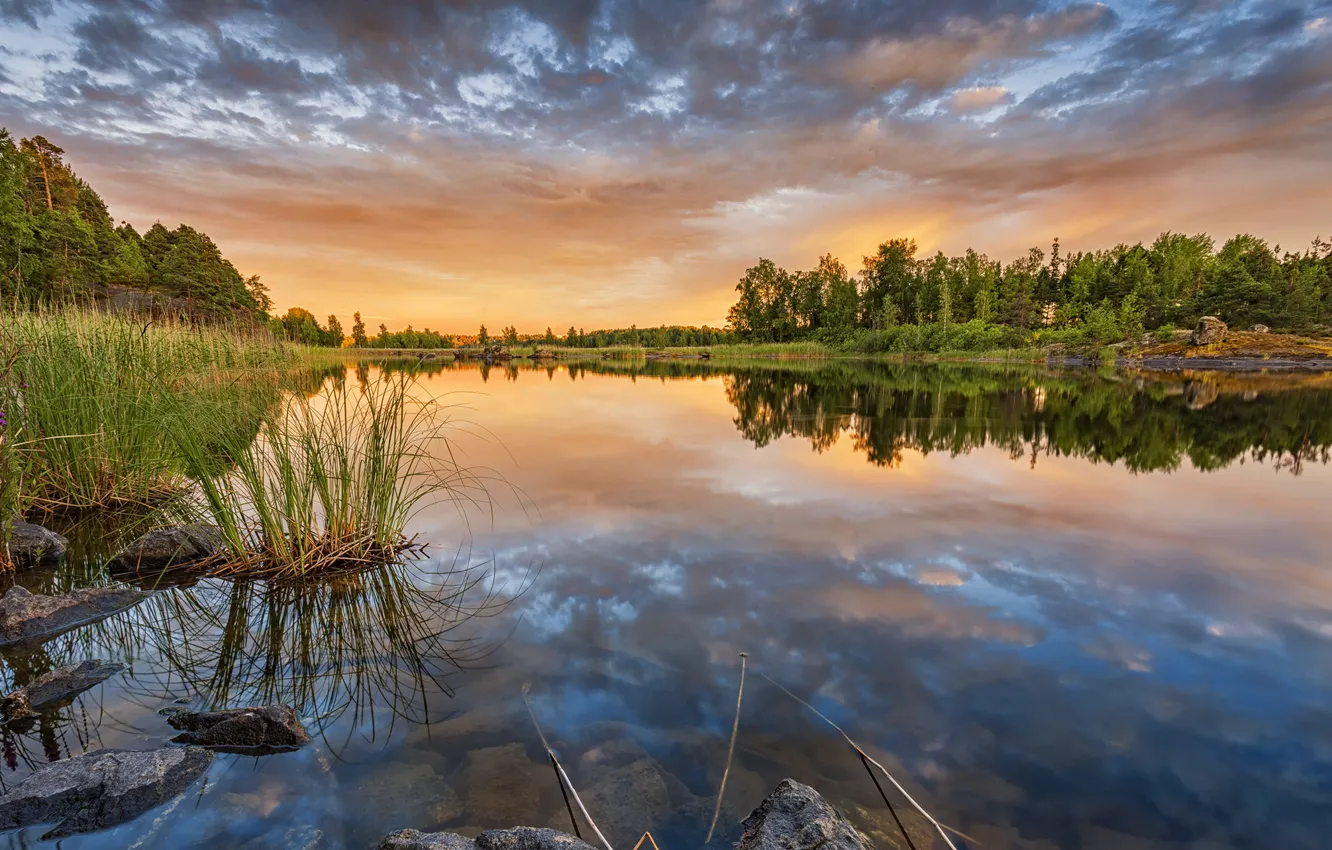 Photo wallpaper forest, sunset, reflection, river, Finland
