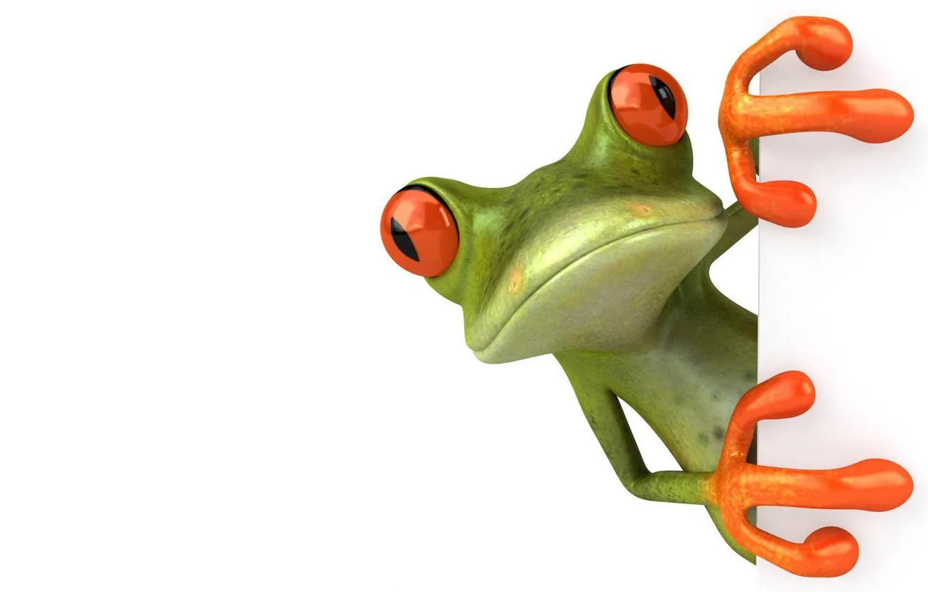 Photo wallpaper mood, figure, frog, picture