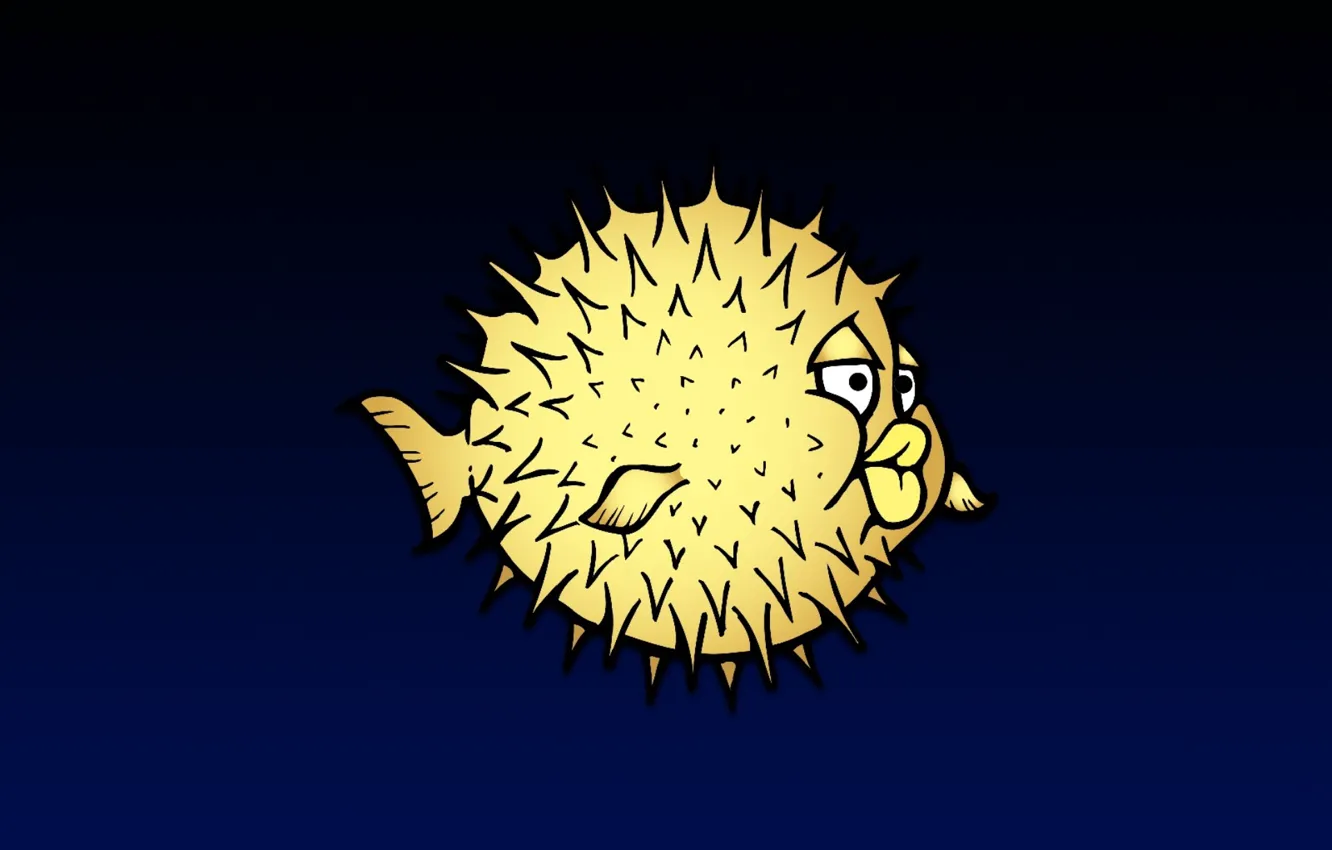 Photo wallpaper fish, barb, BSD