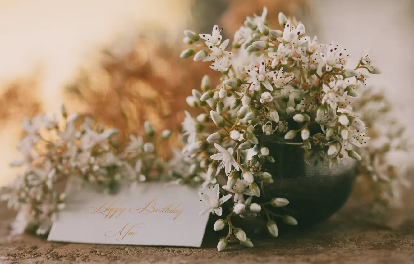 Photo wallpaper flowers, congratulations, postcard, happy birthday me, Happy birthday
