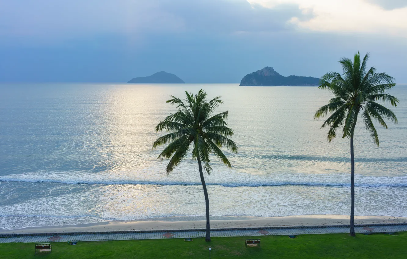 Photo wallpaper sea, beach, summer, sunset, palm trees, shore, summer, beach