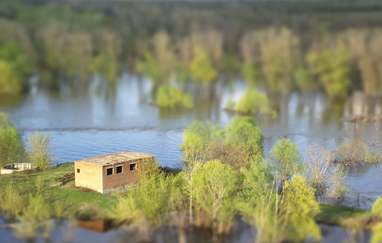 Photo wallpaper forest, water, spring, flood, the flood