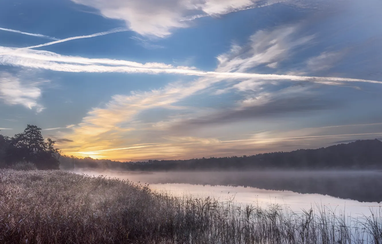 Photo wallpaper the sky, clouds, fog, lake, shore, morning, pond