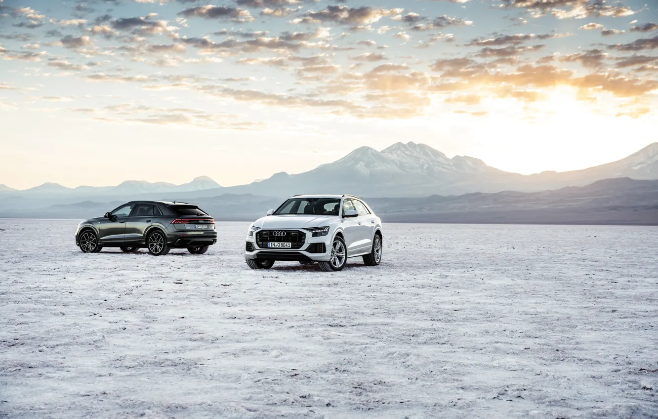 Photo wallpaper pair, quattro, 2018, crossover, S-Line, 55 TFSI, Audi Q8