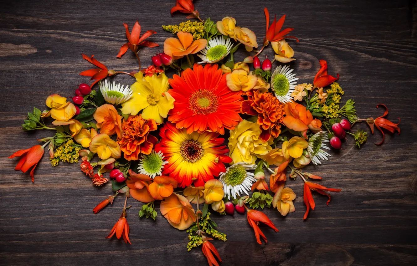 Photo wallpaper autumn, leaves, flowers, wood, flowers, autumn, leaves, composition