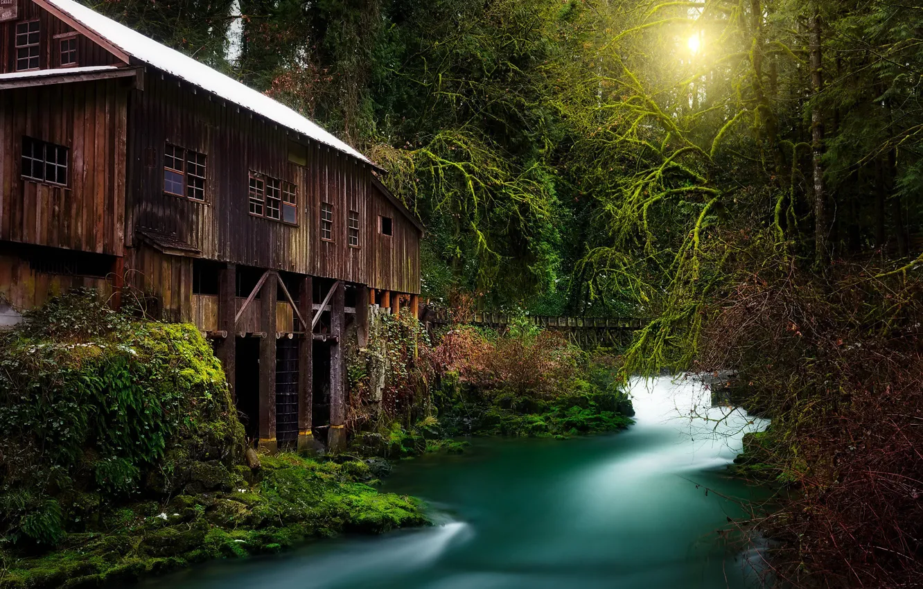 Photo wallpaper forest, river, water mill, Washington State, Woodland, Woodland, Cedar Creek Grist Mill, Washington