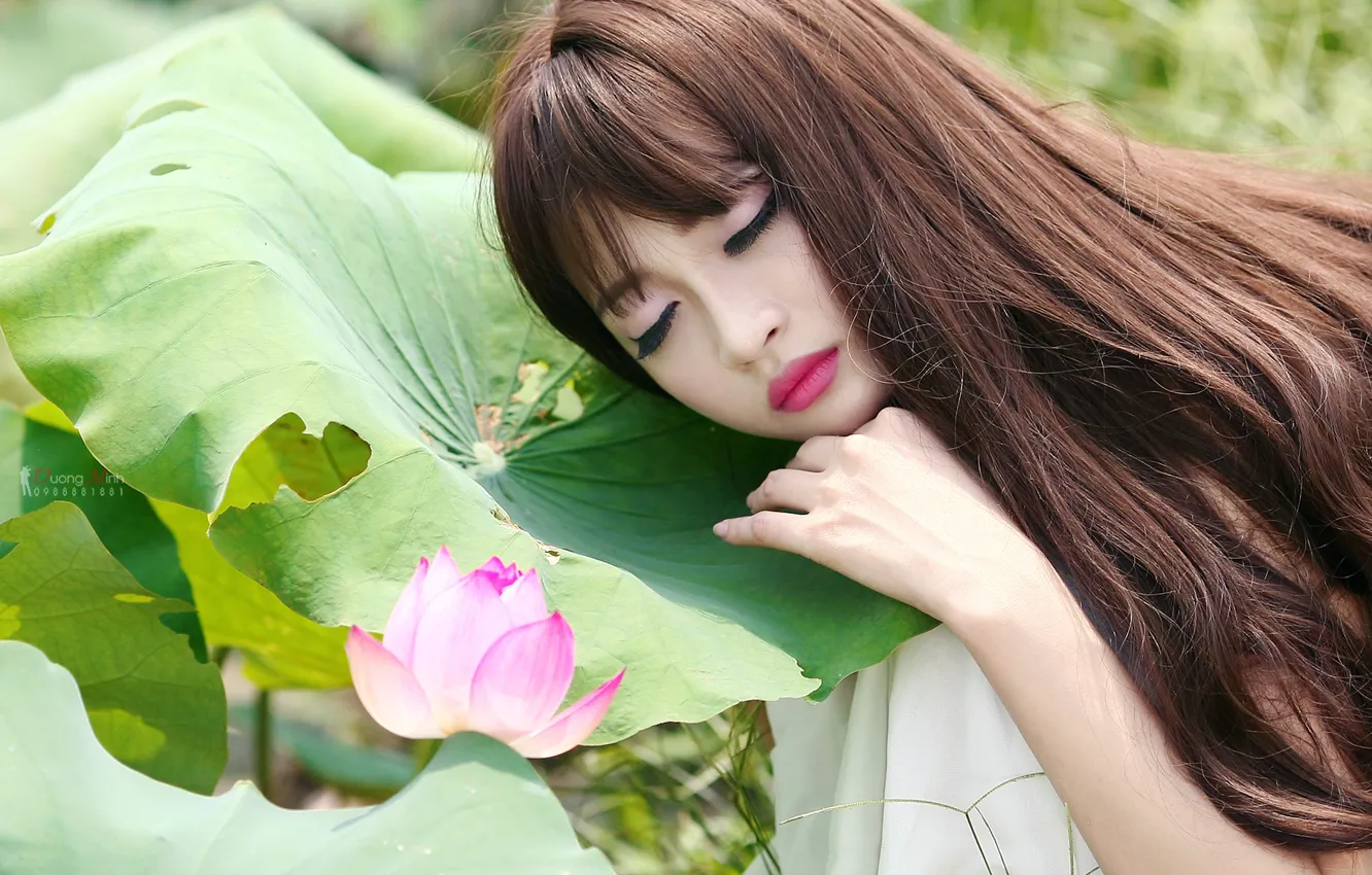 Photo wallpaper summer, girl, Lotus