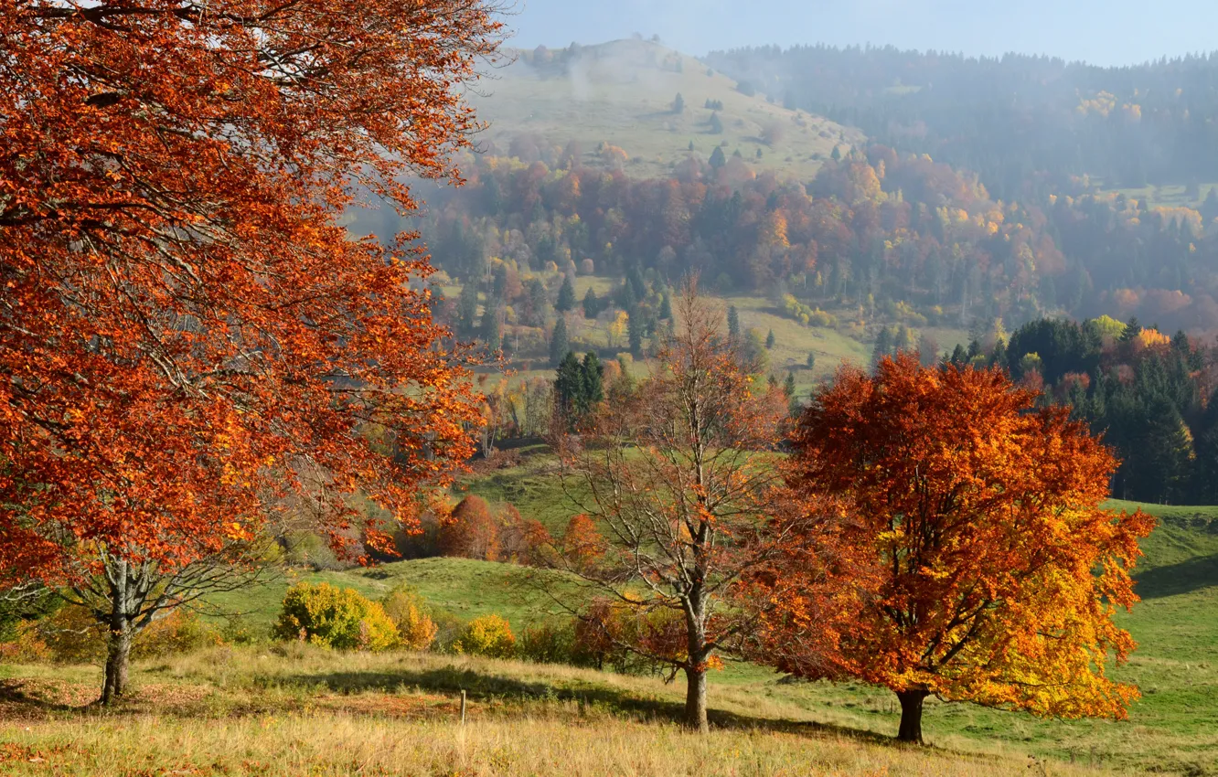 Photo wallpaper autumn, the sun, trees, hills, France, Bauges