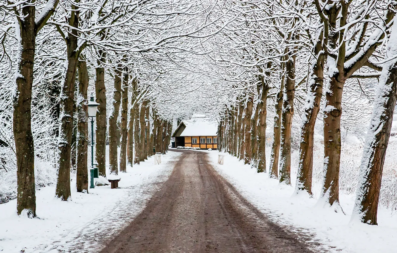 Photo wallpaper house, road, trees, winter, snow