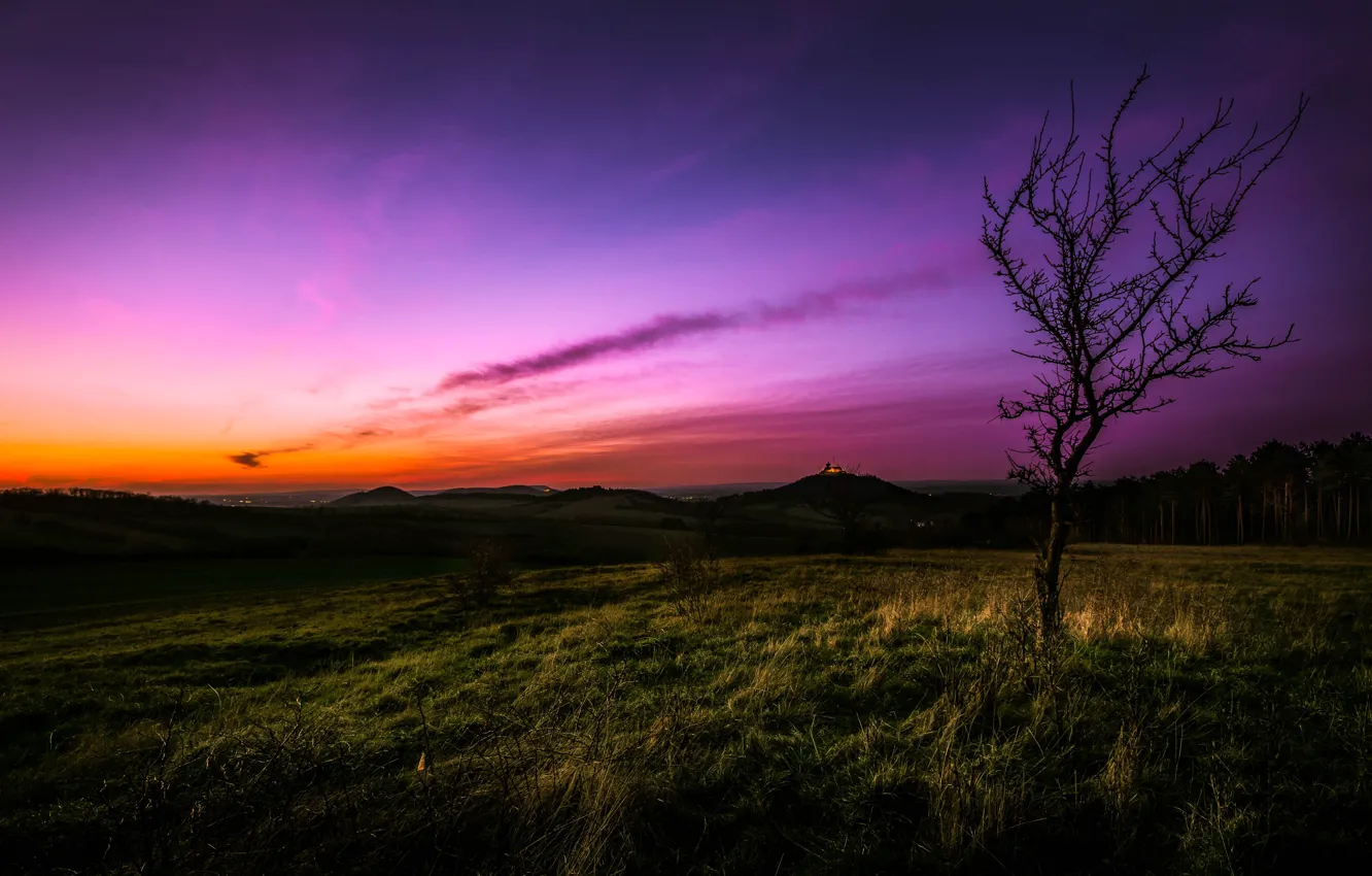 Photo wallpaper field, the sky, trees, the evening