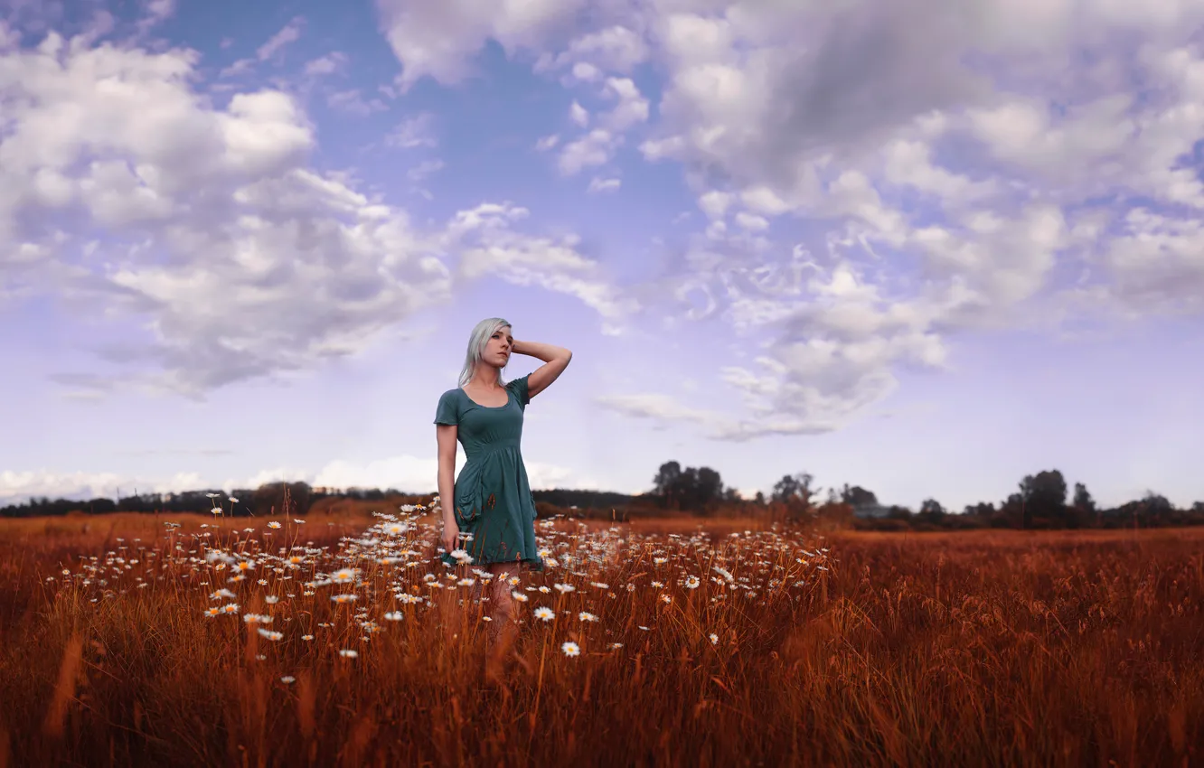 Photo wallpaper the sky, girl, clouds, beauty, dress, chamomile field