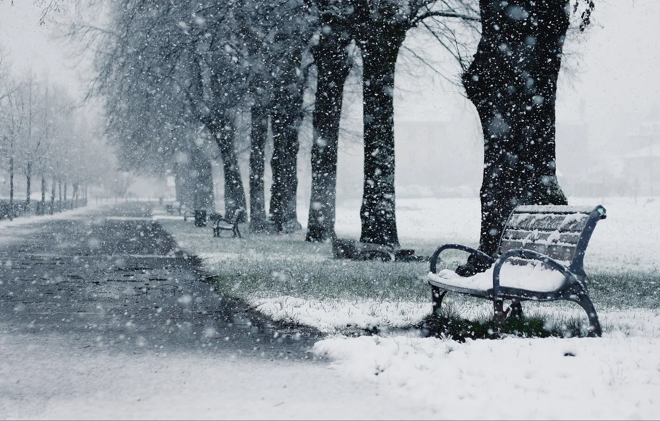 Photo wallpaper winter, snow, trees, bench, Park, shop, trunk, alley