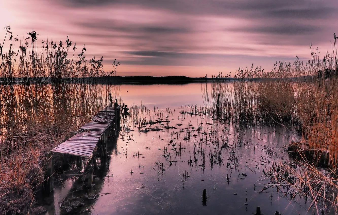 Photo wallpaper bridge, lake, reed
