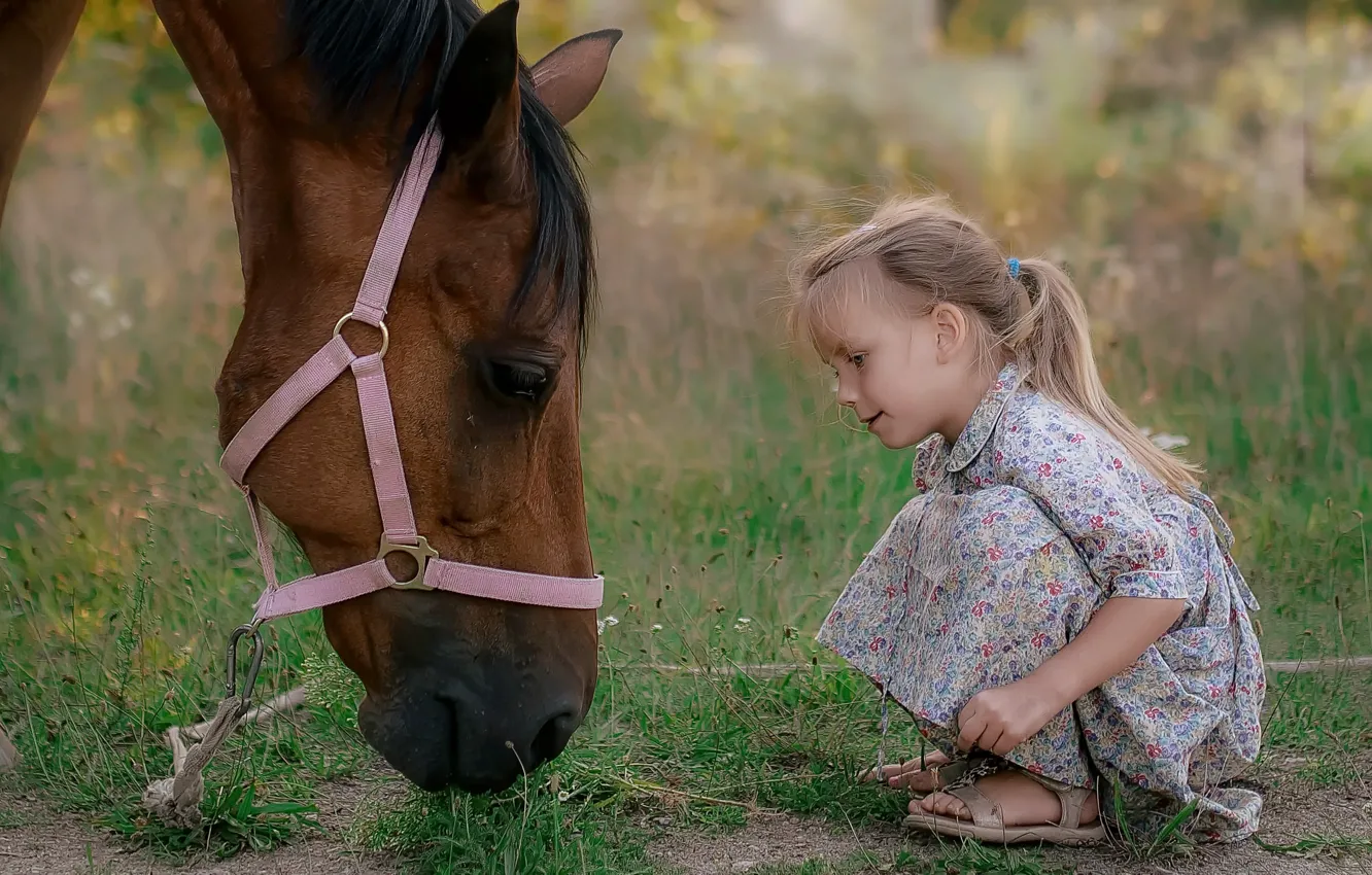 Photo wallpaper nature, horse, girl