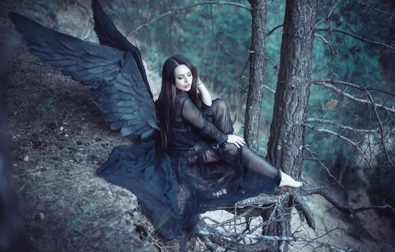 Photo wallpaper angel, Forest, black wings
