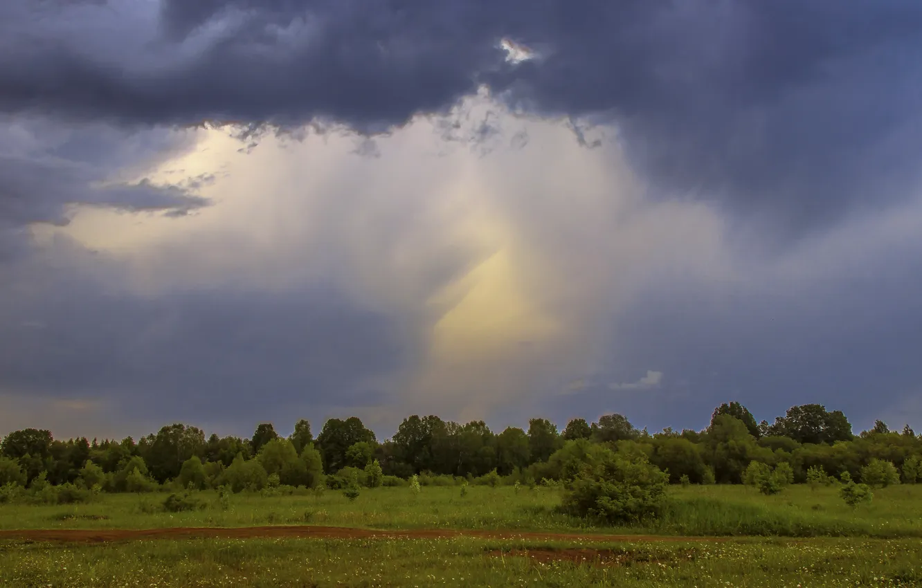 Photo wallpaper trees, clouds, lightning, meadow, space, the Majesty of nature, Before the storm, Galina Novinskaya