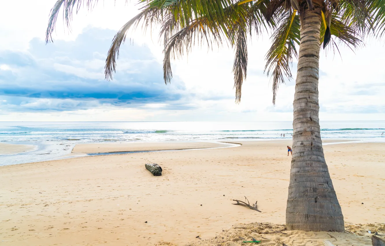 Photo wallpaper sand, sea, wave, beach, summer, the sun, palm trees, summer