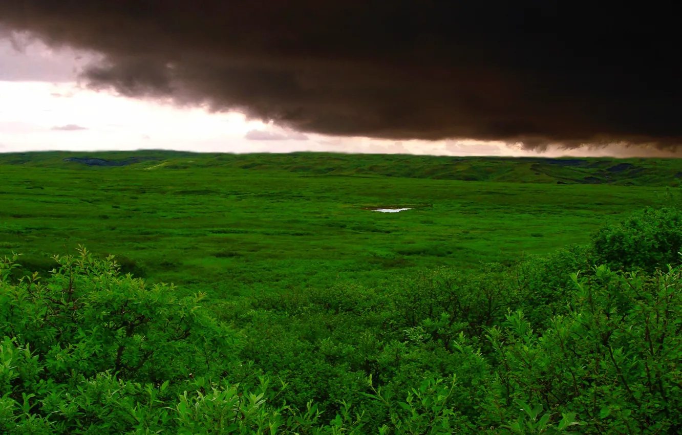 Photo wallpaper field, grass, clouds, storm, Green