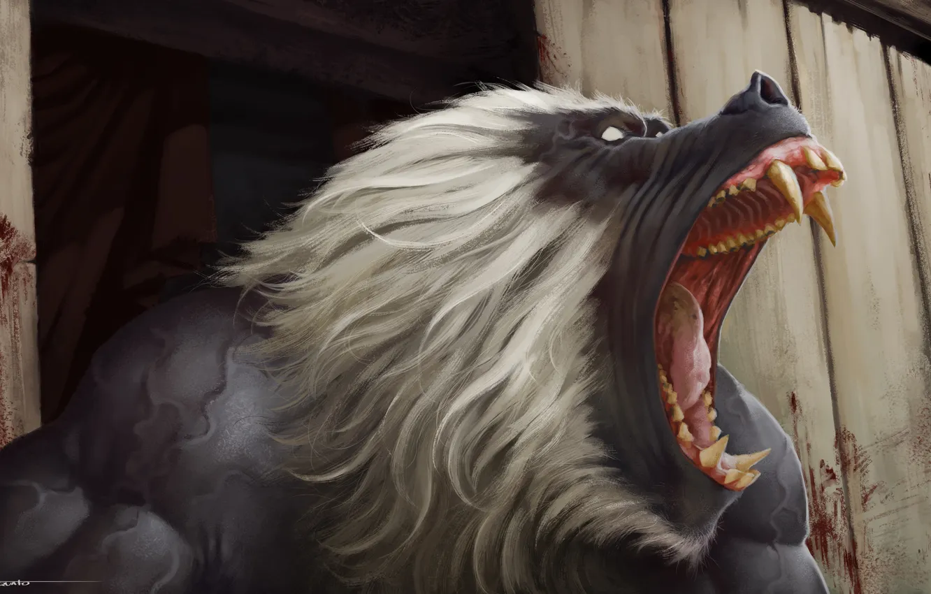 Photo wallpaper head, art, rage, monkey, mouth, Baboon