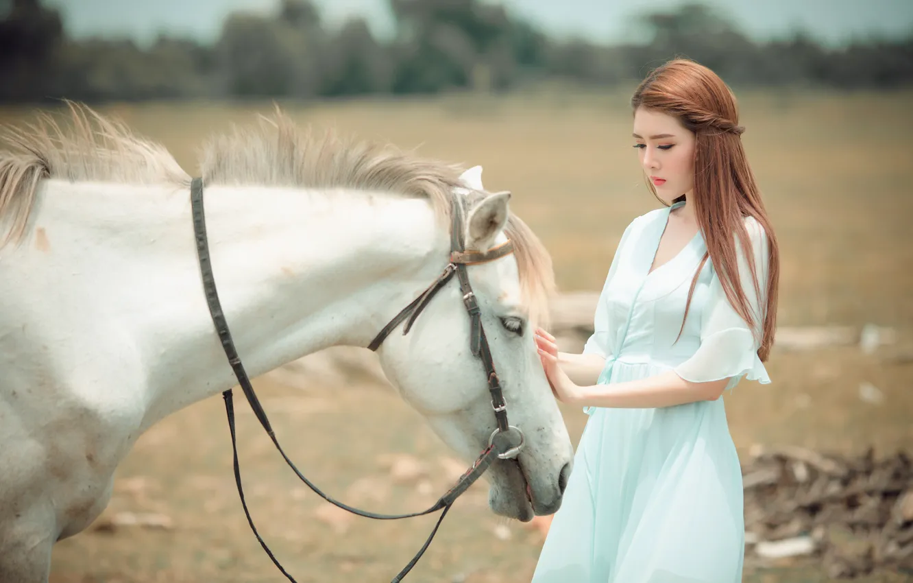 Photo wallpaper field, white, face, girl, nature, pose, horse, horse