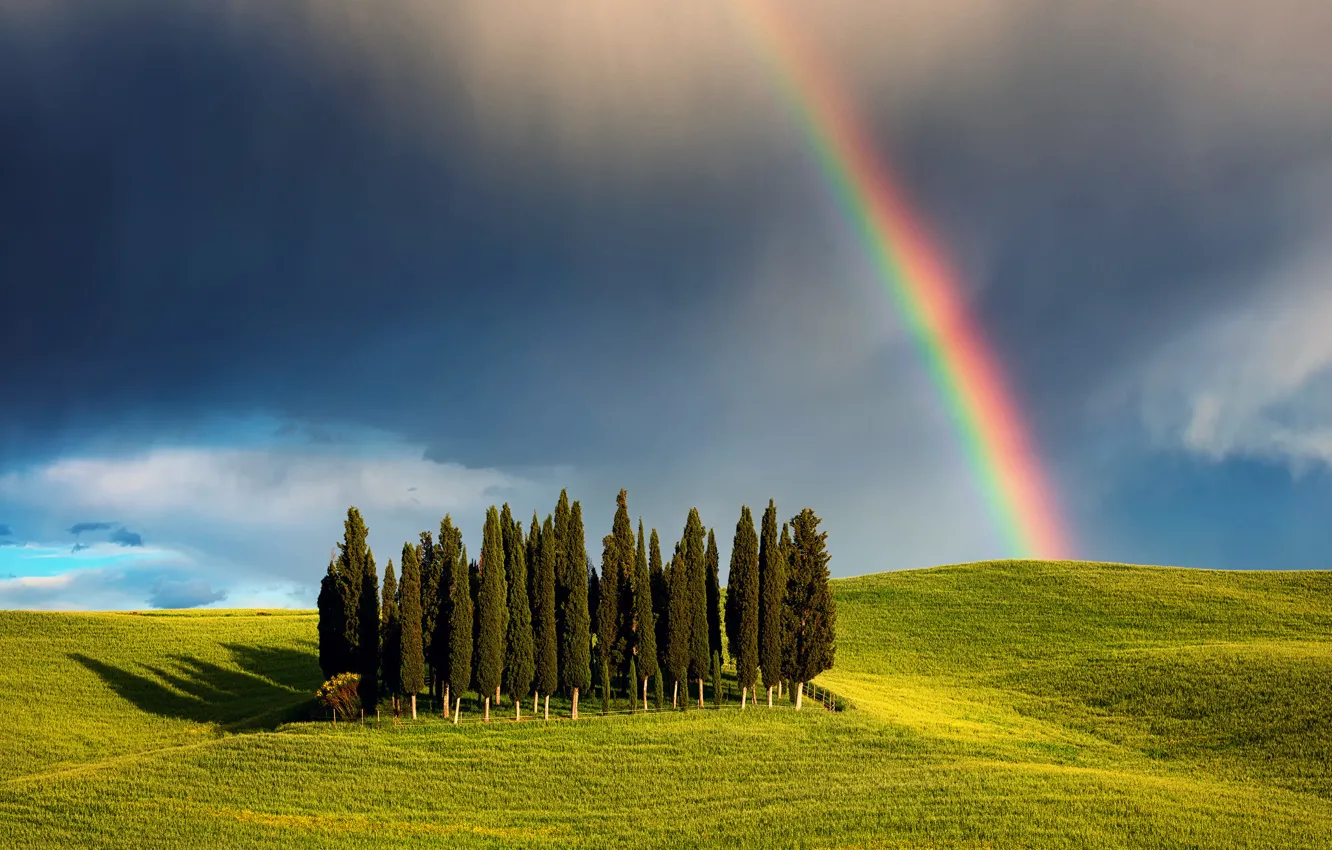 Photo wallpaper field, the sky, clouds, trees, clouds, nature, rainbow, spring