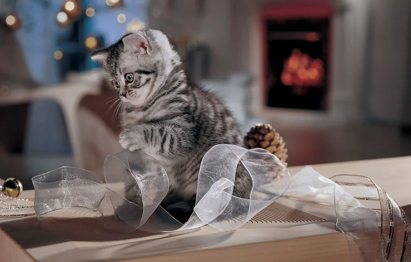 Photo wallpaper kitty, bow, bumps