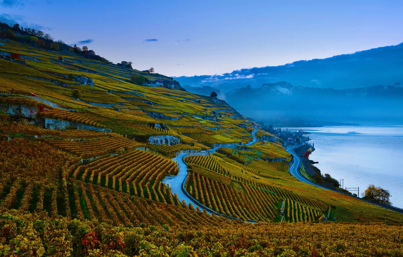 Photo wallpaper Switzerland, slope, vineyard, Lake Geneva, Lavo-Oron