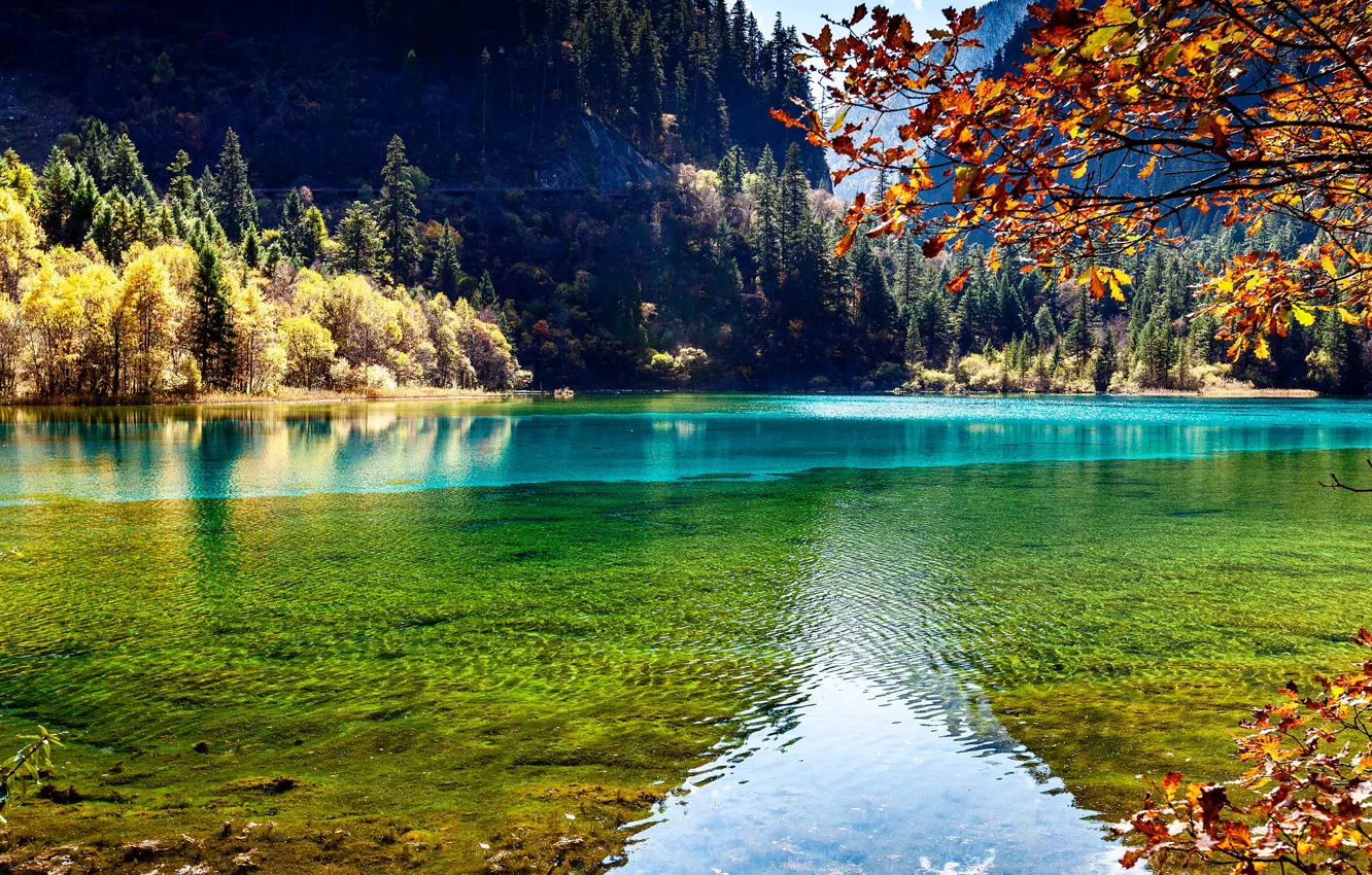 Photo wallpaper autumn, forest, mountains, foliage, pond