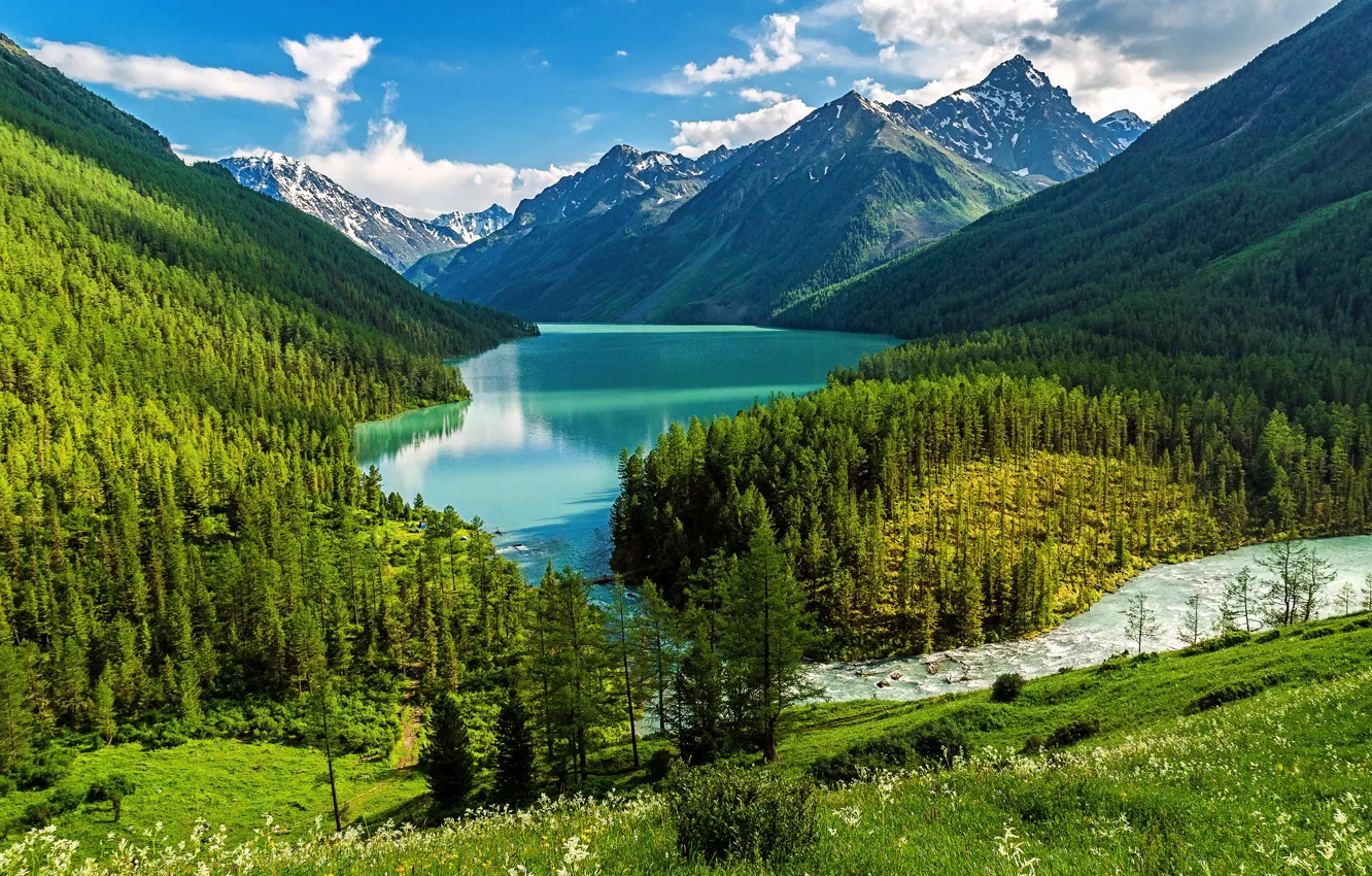 Photo wallpaper forest, mountains, lake, Russia, The Kucherla lake, The Republic Of Altai, The Altai mountains, Mikhail …