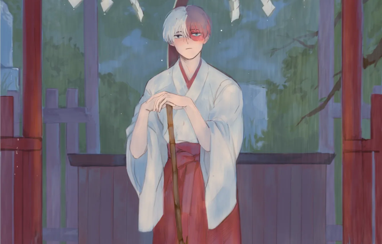 Photo wallpaper look, guy, Boku no Hero Academy, My hero Academy, My Hero Academia, Todoroki Shoto