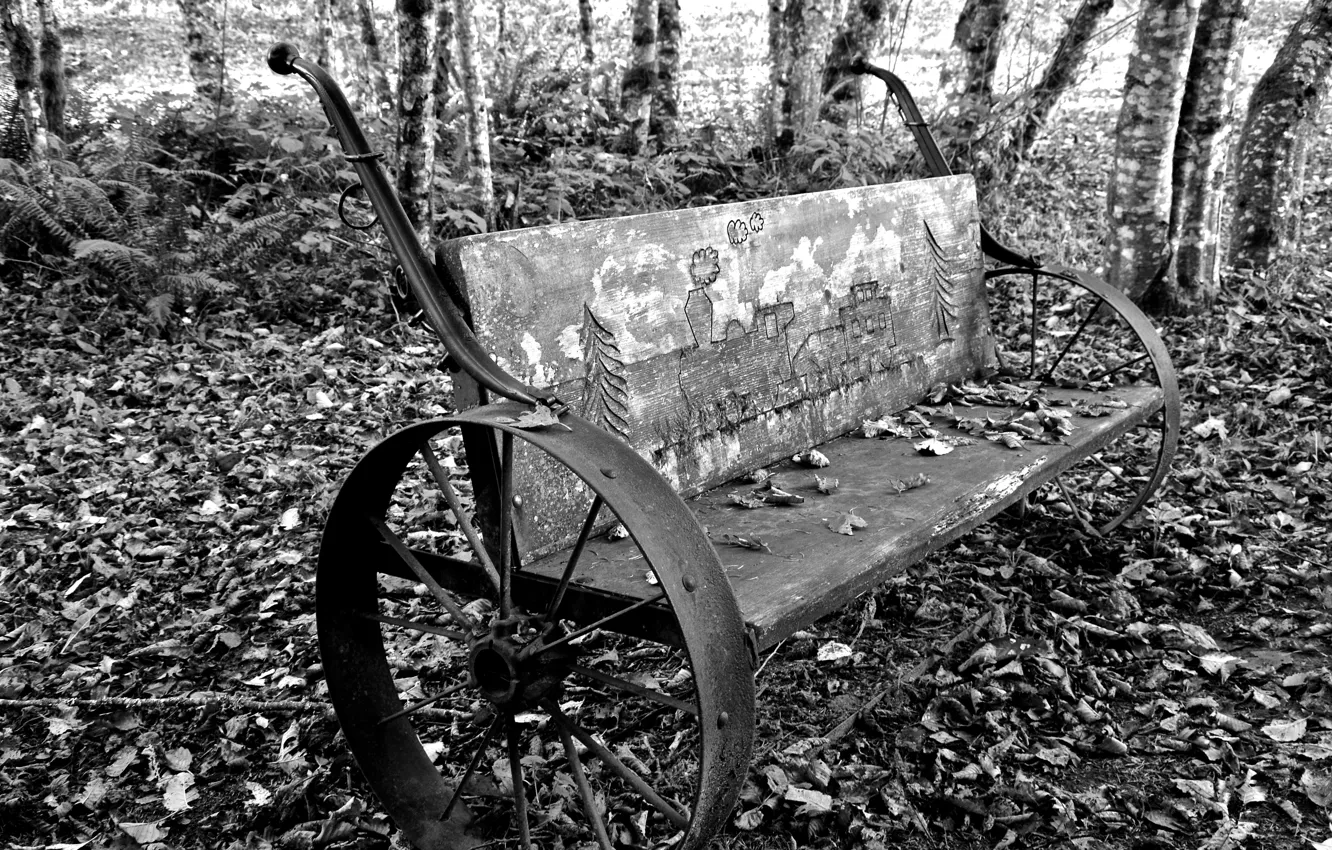 Photo wallpaper autumn, leaves, trees, bench, black and white