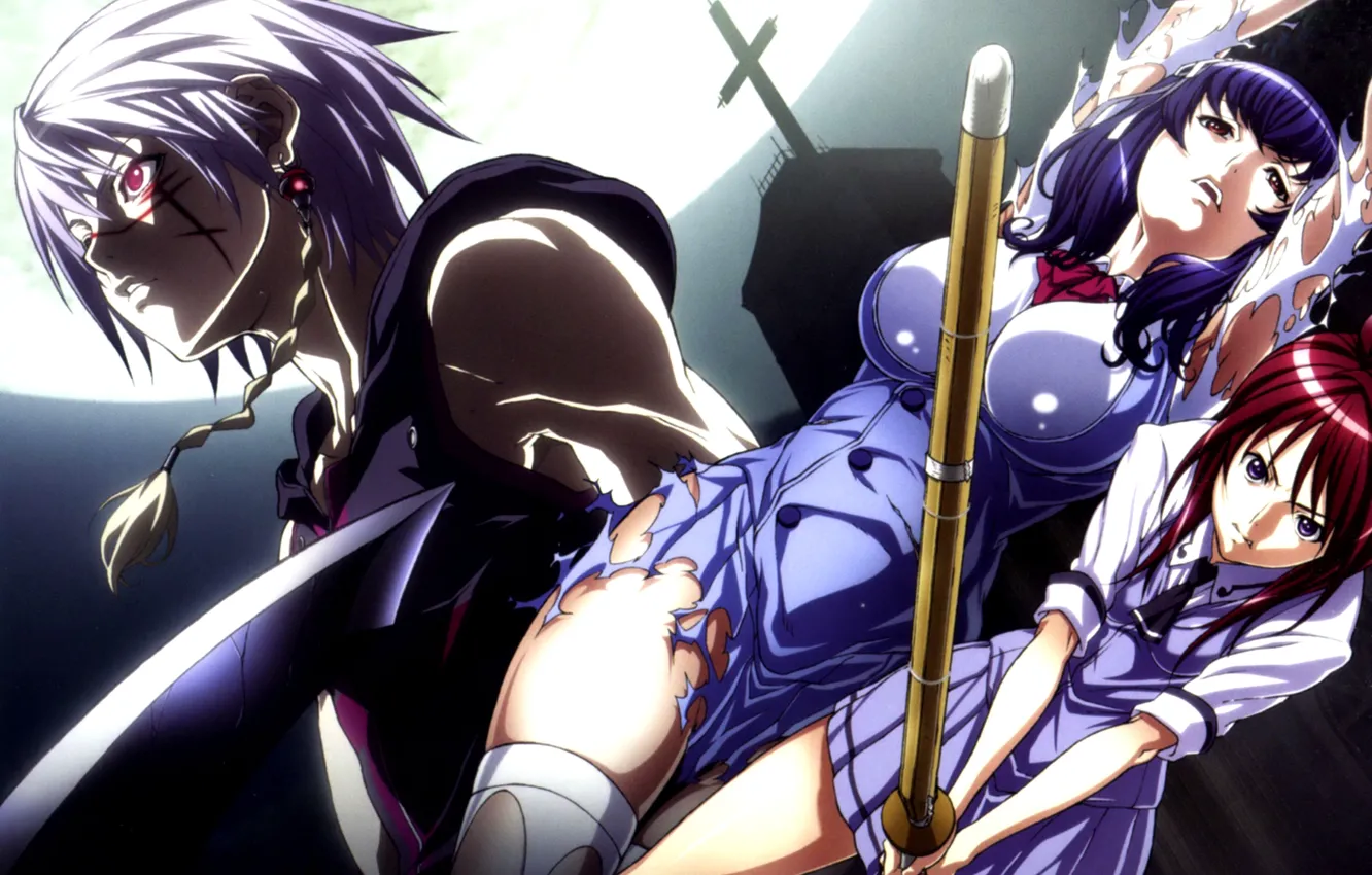 Photo wallpaper girl, Sasha, scar, Seikon no Qwaser