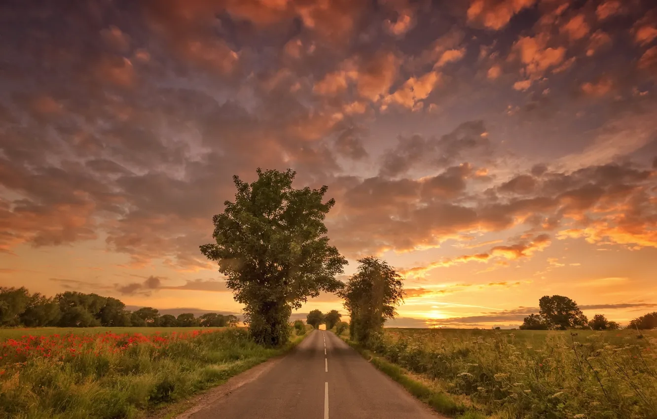 Photo wallpaper road, summer, sunset