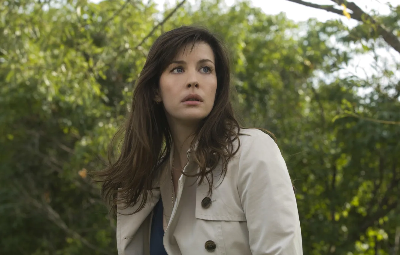 Photo wallpaper Liv Tyler, Liv Tyler, The Incredible Hulk, The Incredible Hulk