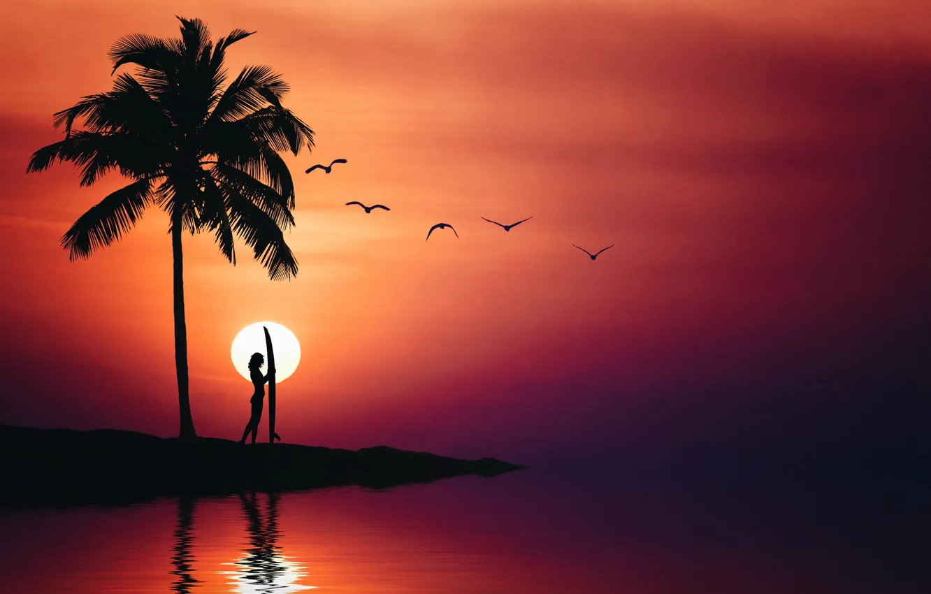 Photo wallpaper sea, summer, the sky, girl, birds, Palma, silhouette