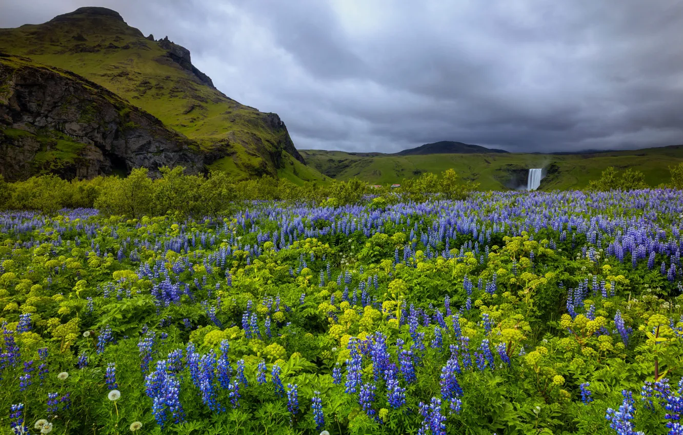 Photo wallpaper grass, landscape, flowers, mountains, clouds, nature, dandelion, waterfall