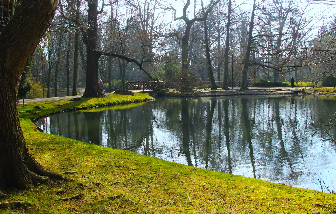 Photo wallpaper water, park, lake, pond