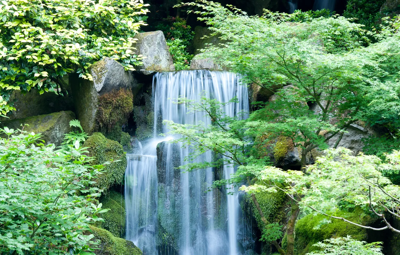 Photo wallpaper forest, leaves, trees, landscape, river, stones, rocks, waterfall