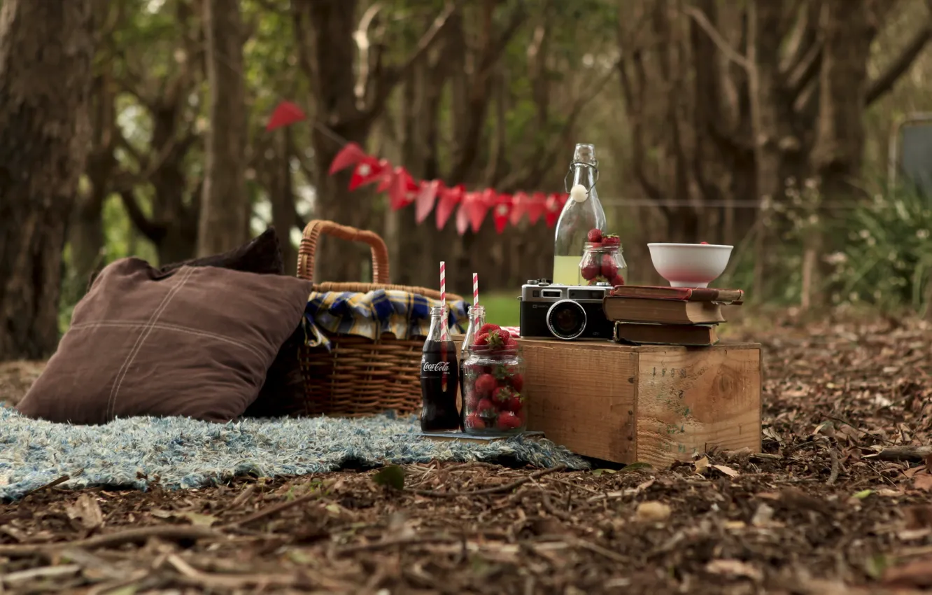 Photo wallpaper forest, books, the camera, picnic, strawberries. Cola