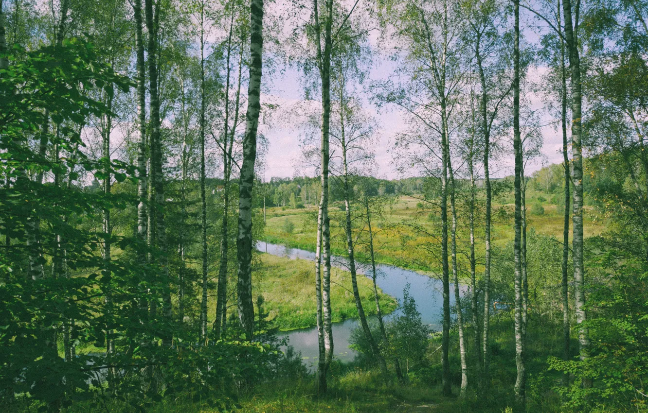 Photo wallpaper autumn, the sky, clouds, trees, nature, Russia, river, September