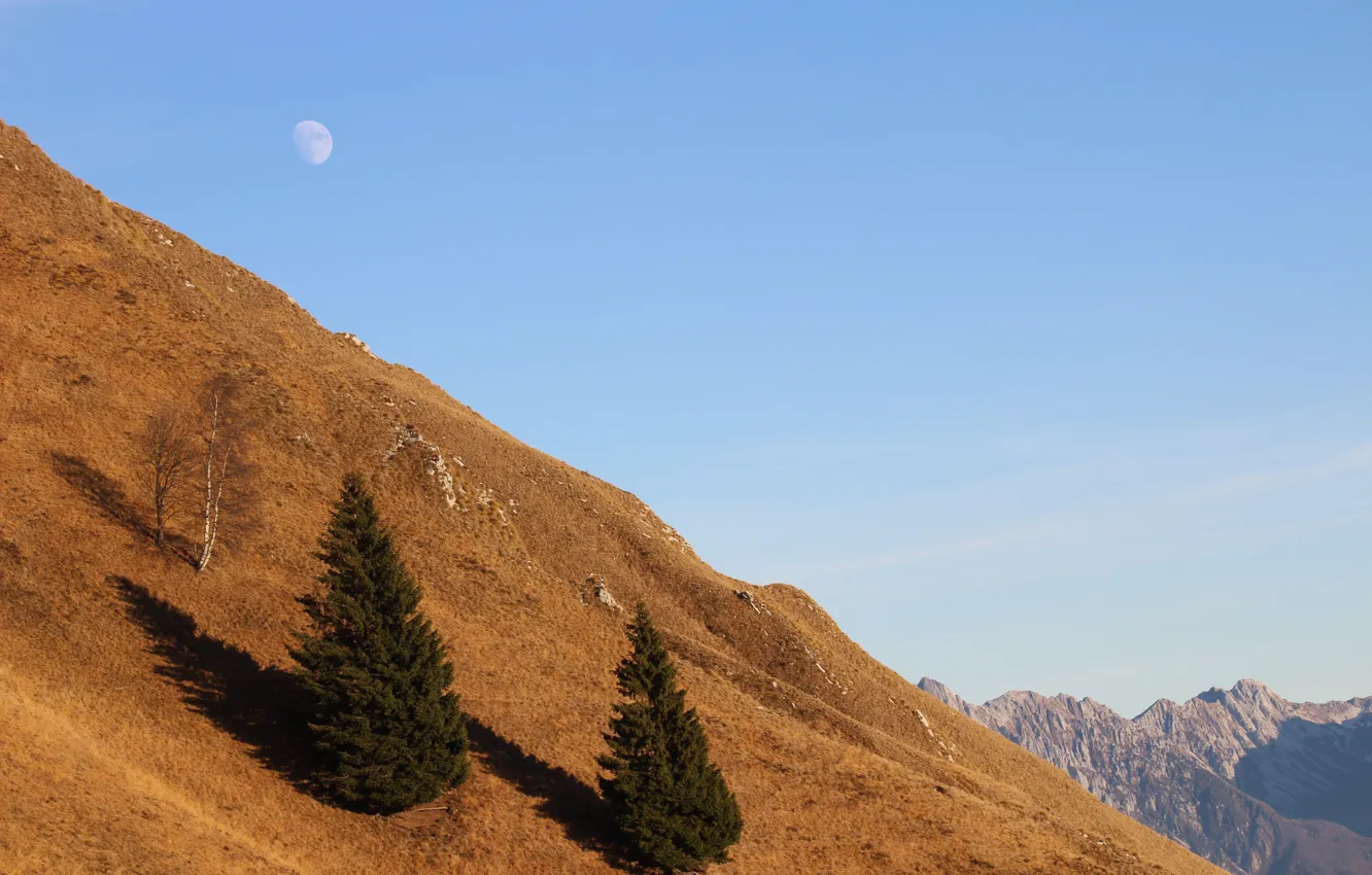 Photo wallpaper forest, landscape, mountains, nature, the moon, tree, ate, top